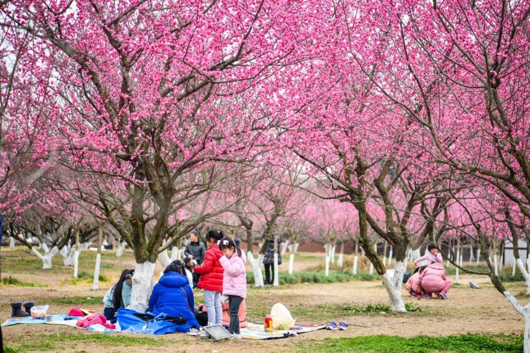 2021年春节高速免费时间表/2021年春节高速路免费日期
