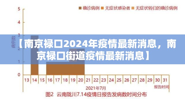 【南京禄口2024年疫情最新消息，南京禄口街道疫情最新消息】