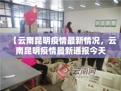 【云南昆明疫情最新情况，云南昆明疫情最新通报今天情况】