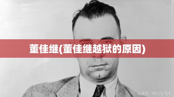 董佳继(董佳继越狱的原因)