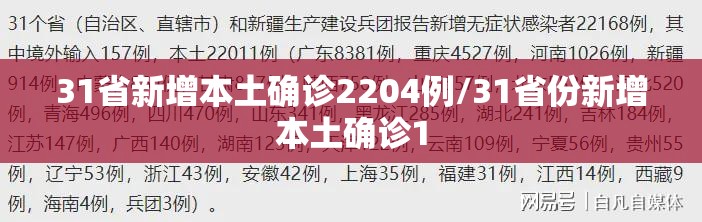 31省新增本土确诊2204例/31省份新增本土确诊1