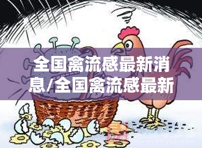 全国禽流感最新消息/全国禽流感最新消息新闻