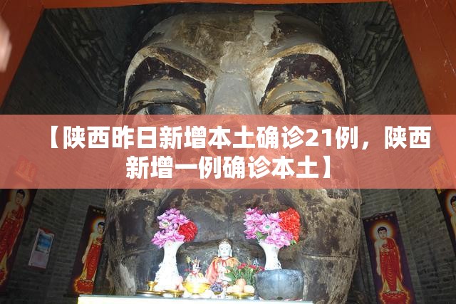 【陕西昨日新增本土确诊21例，陕西新增一例确诊本土】