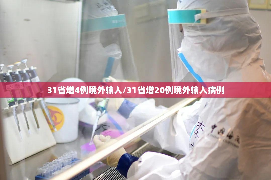 31省增4例境外输入/31省增20例境外输入病例