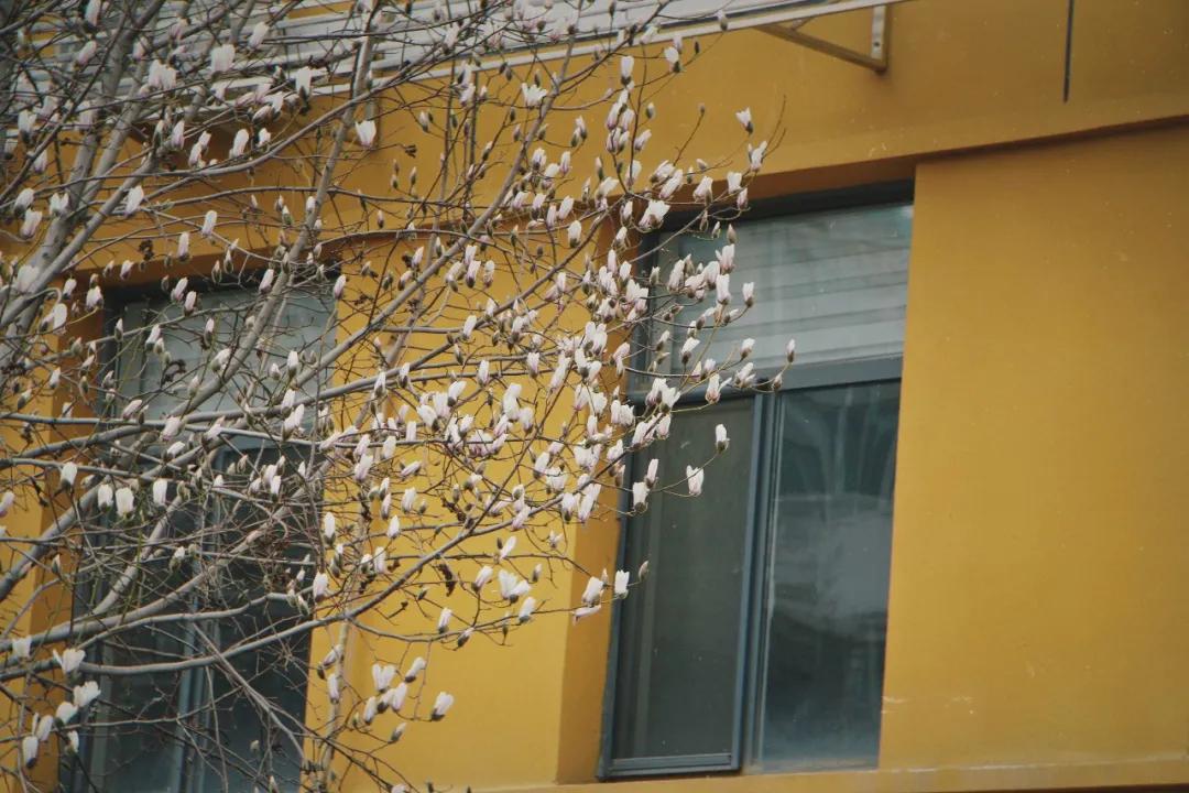 【北京通州疫情,北京通州疫情状况】 【北京通州疫情,北京通州疫情状况】