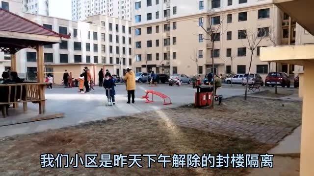 【明天石家庄封城，石家庄预计封城几天】