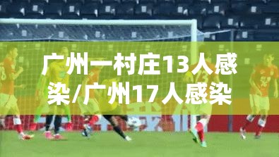 广州一村庄13人感染/广州17人感染 广州一村庄13人感染/广州17人感染