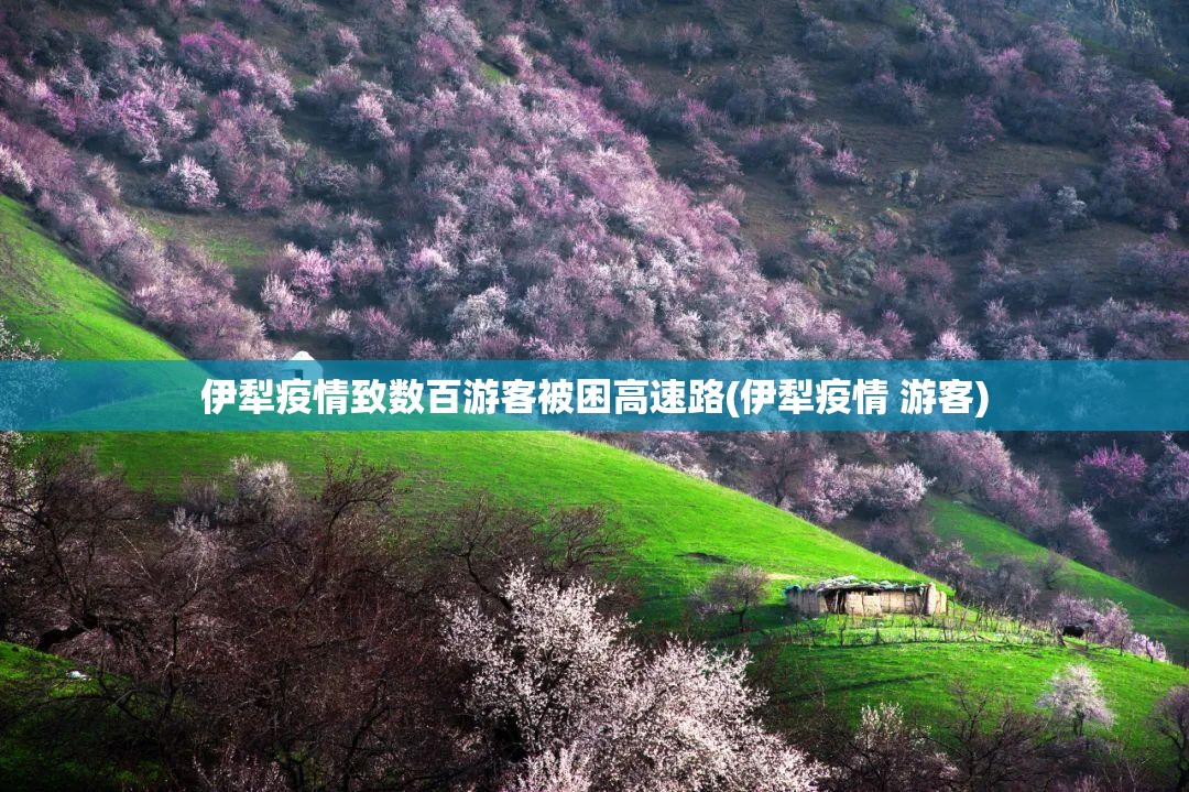 伊犁疫情致数百游客被困高速路(伊犁疫情 游客)