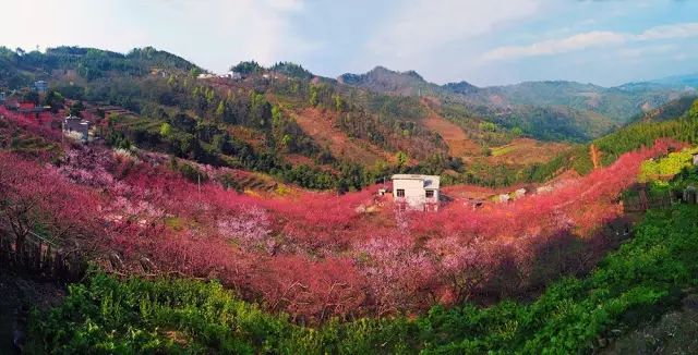 百色疫情源头(百色疫情源头来自哪里) 百色疫情源头(百色疫情源头来自哪里)