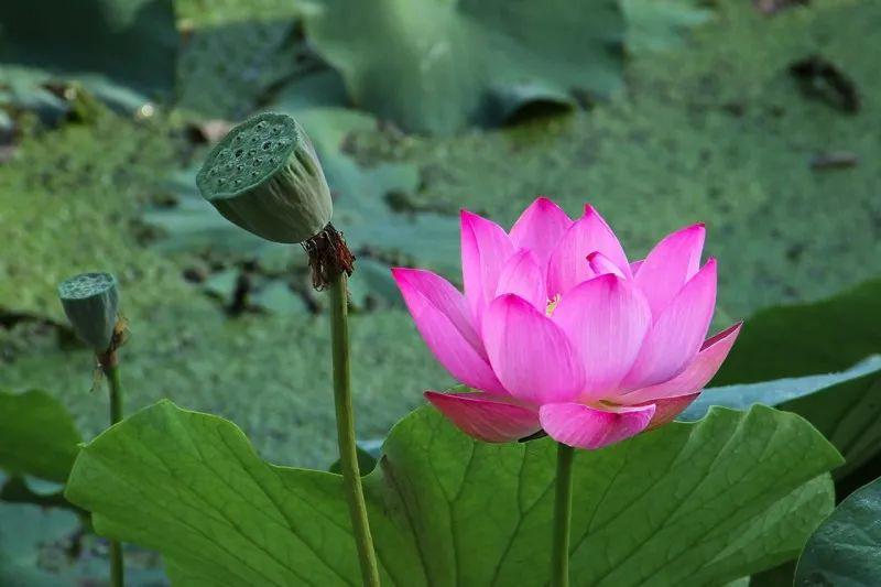广州新增(广州新增120个电单车抓拍点)
