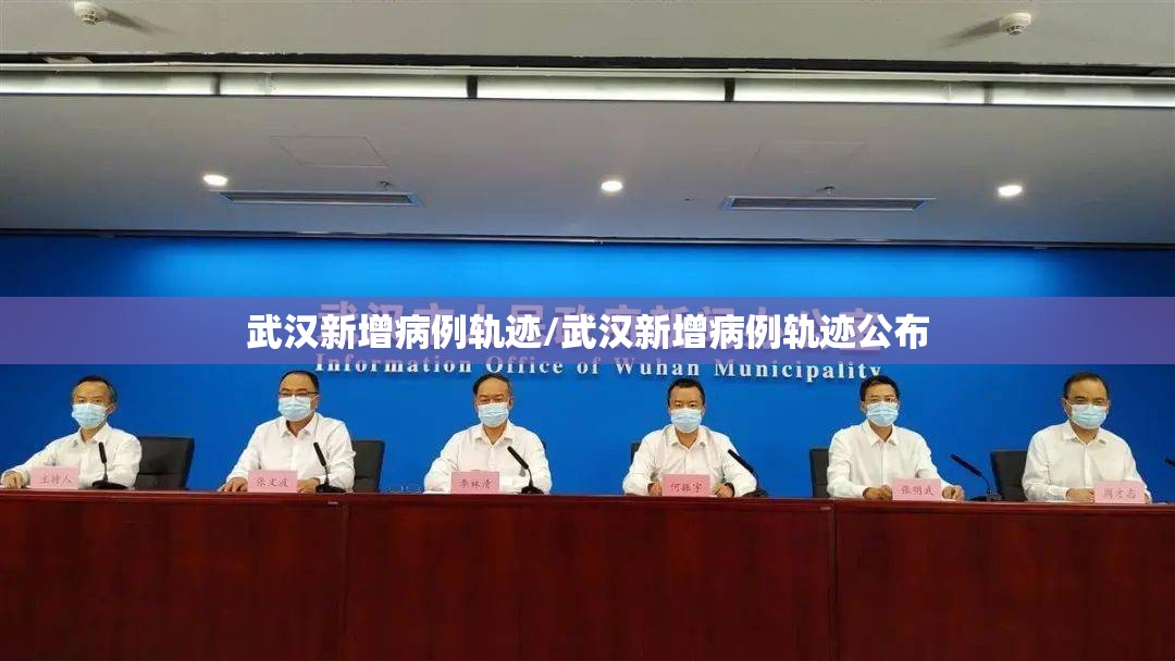 武汉新增病例轨迹/武汉新增病例轨迹公布