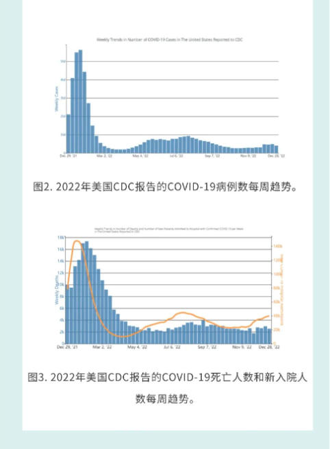【青岛发现XBB病毒患者?院方回应,青岛发现本土病例】 【青岛发现XBB病毒患者?院方回应,青岛发现本土病例】