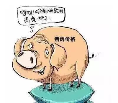 为何这波疫情居高不下?官方回应/为什么疫情这么难控制 为何这波疫情居高不下?官方回应/为什么疫情这么难控制