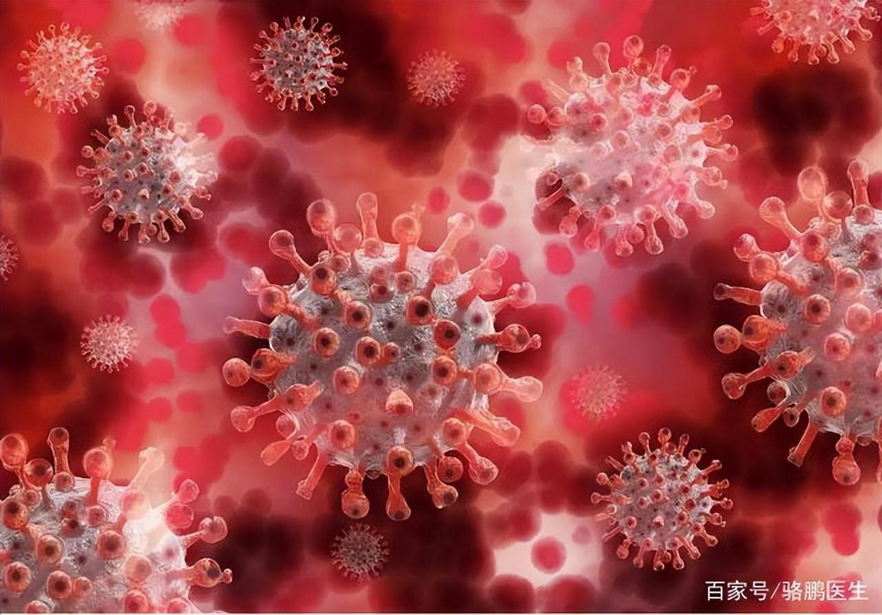 【北京新冠病毒最新消息,北京新型冠状病毒病例最新消息】 【北京新冠病毒最新消息,北京新型冠状病毒病例最新消息】