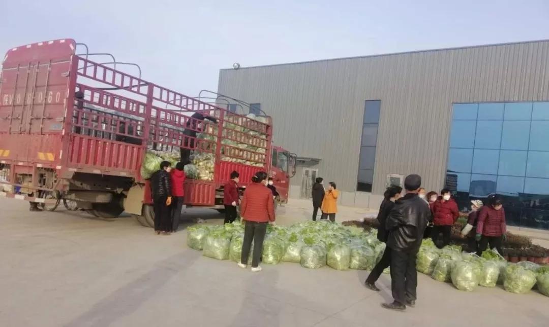 杨凌疫情(杨凌的疫情怎么样) 杨凌疫情(杨凌的疫情怎么样)