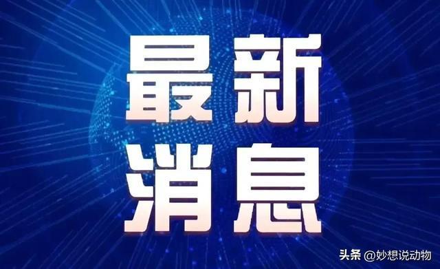 甘肃兰州疫情最新数据消息/甘肃疫情兰州疫情 甘肃兰州疫情最新数据消息/甘肃疫情兰州疫情