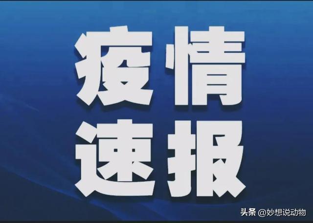 内蒙古疫情最新消息今日新增(内蒙古疫情最新动态)