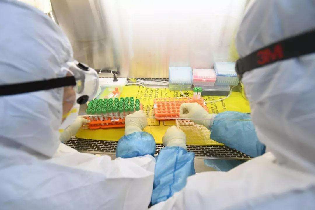 1确诊7次核酸均阴性(七次核酸检测都是阴性确诊) 1确诊7次核酸均阴性(七次核酸检测都是阴性确诊)
