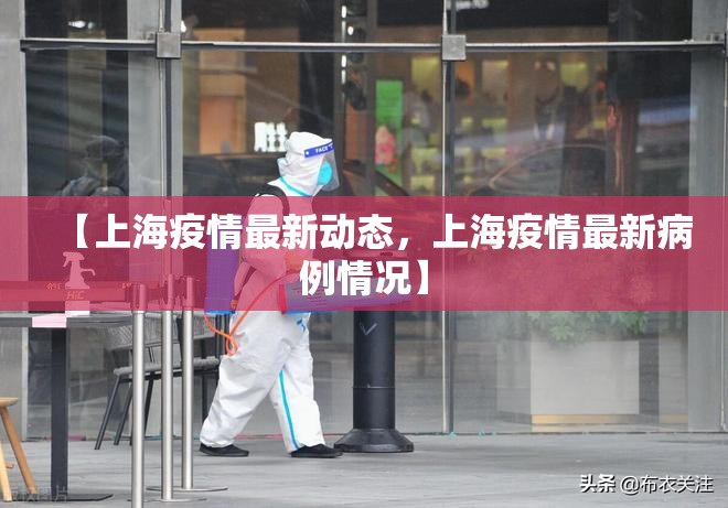 【上海疫情最新动态,上海疫情最新病例情况】 【上海疫情最新动态,上海疫情最新病例情况】